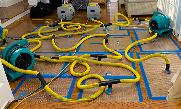 Professional Water Extraction technician working in Santa Clara, NM